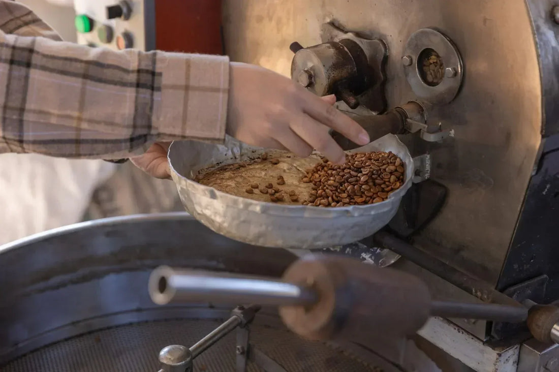 What is Specialty Coffee
